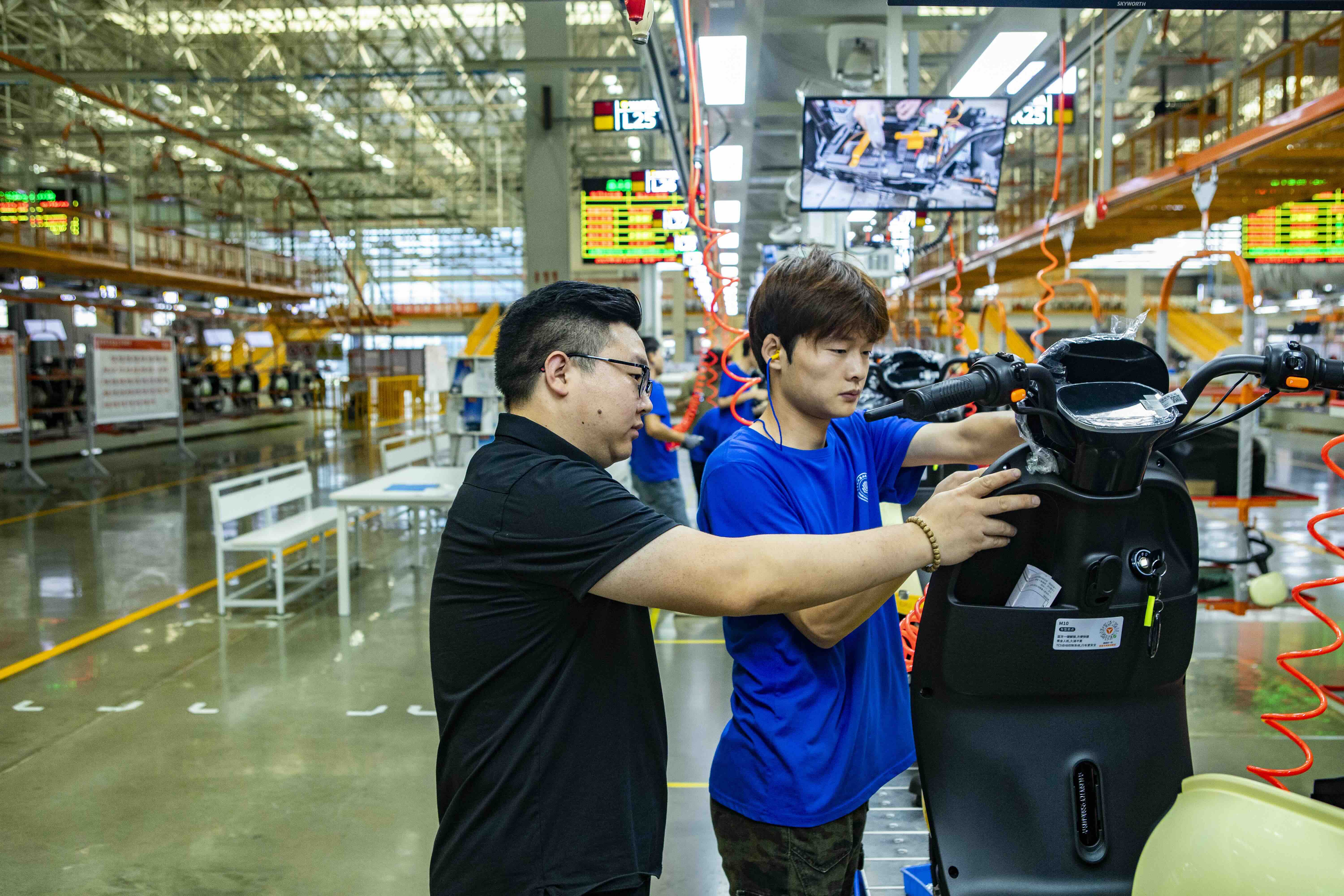 LXY_2438-1 LXY_2438-1